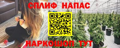 стафф Апшеронск