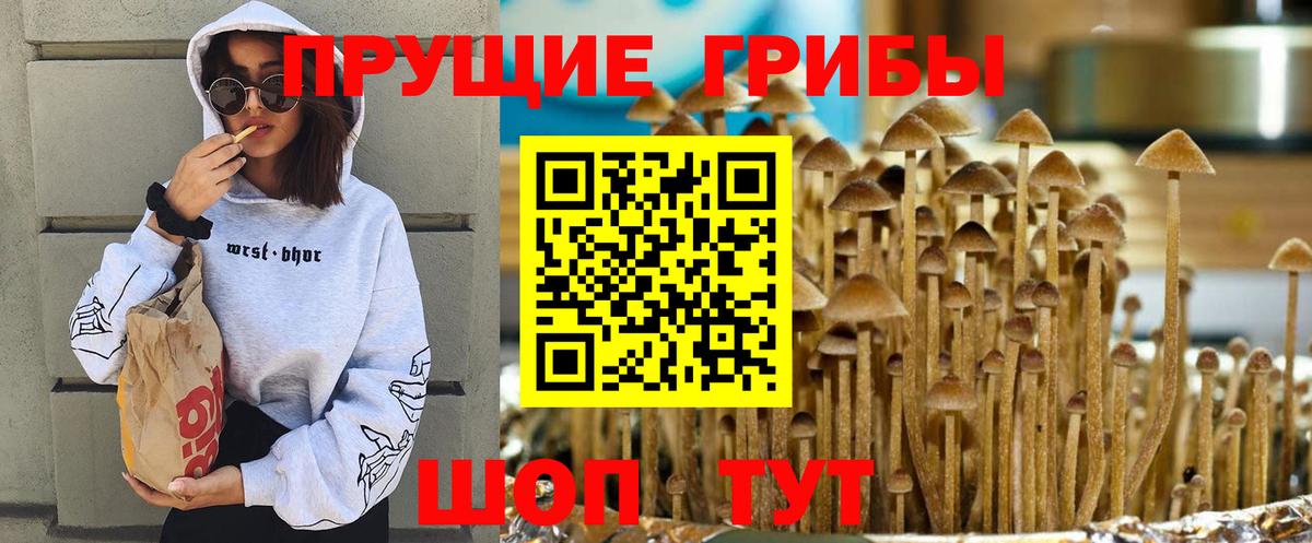 Галлюциногенные грибы мицелий  Вход с VPN  Берёзовский 